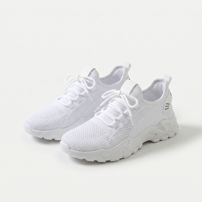 https://cdn.shopify.com/s/files/1/0895/7870/1129/files/1_95.png?v=1779388705