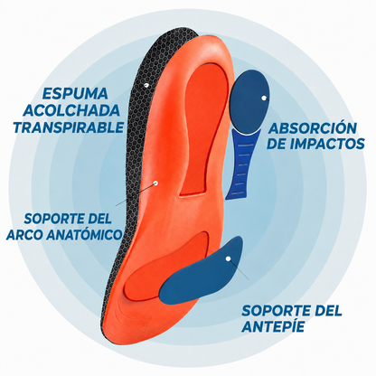 Plantillas Orthomont Ortho