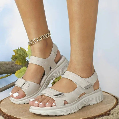 https://ik.imagekit.io/c2dr4dawp/https%3A%2F%2Fcdn.shopify.com%2Fs%2Ffiles%2F1%2F0895%2F7870%2F1129%2Ffiles%2Fc16.jpg%3Fv%3D1776253714?tr=f-jpg